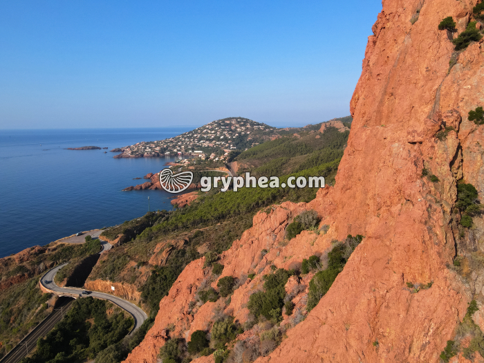 Esterel - affleurement de rhyolite - gryphea.com